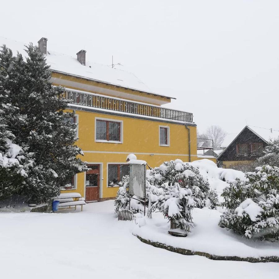 Pension Pastis Janov Exterior foto